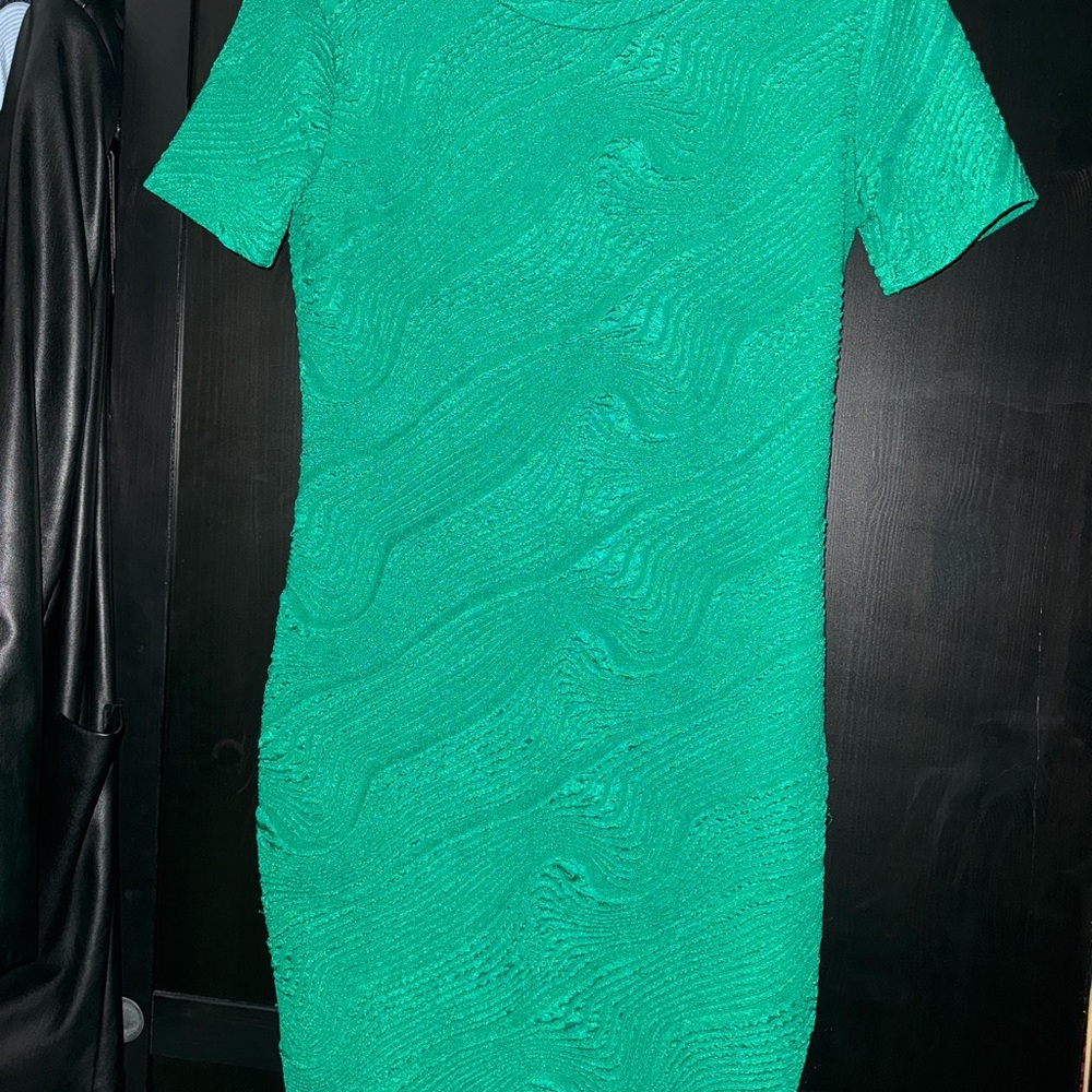 Elegant Green Textured Dress